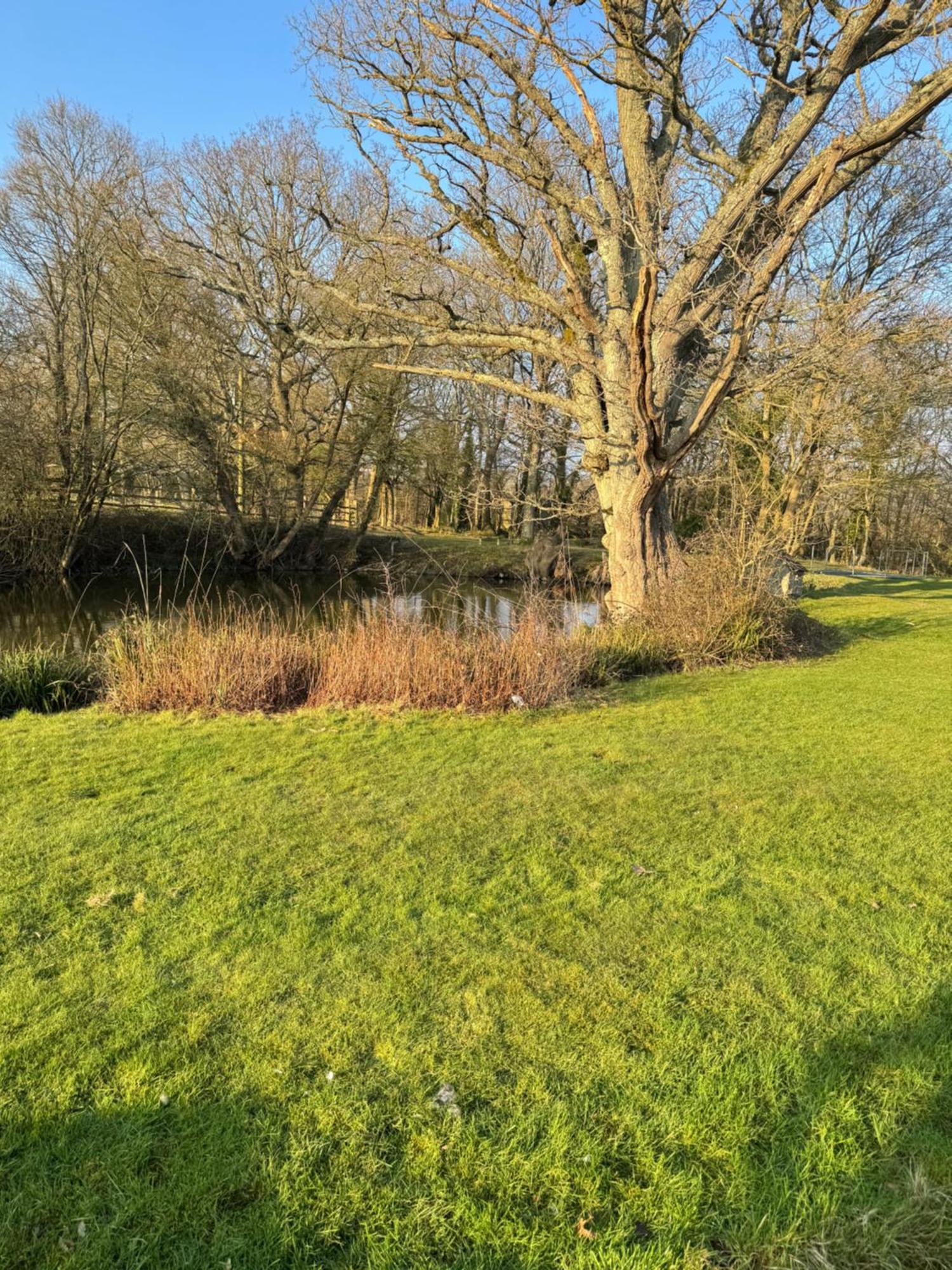Waters Edge Daire Rolvenden Dış mekan fotoğraf